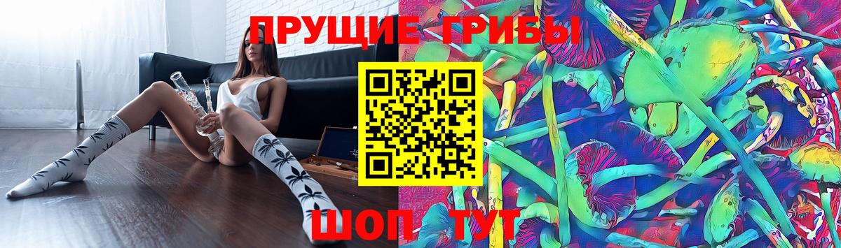 Псилоцибиновые грибы мухоморы Алушта